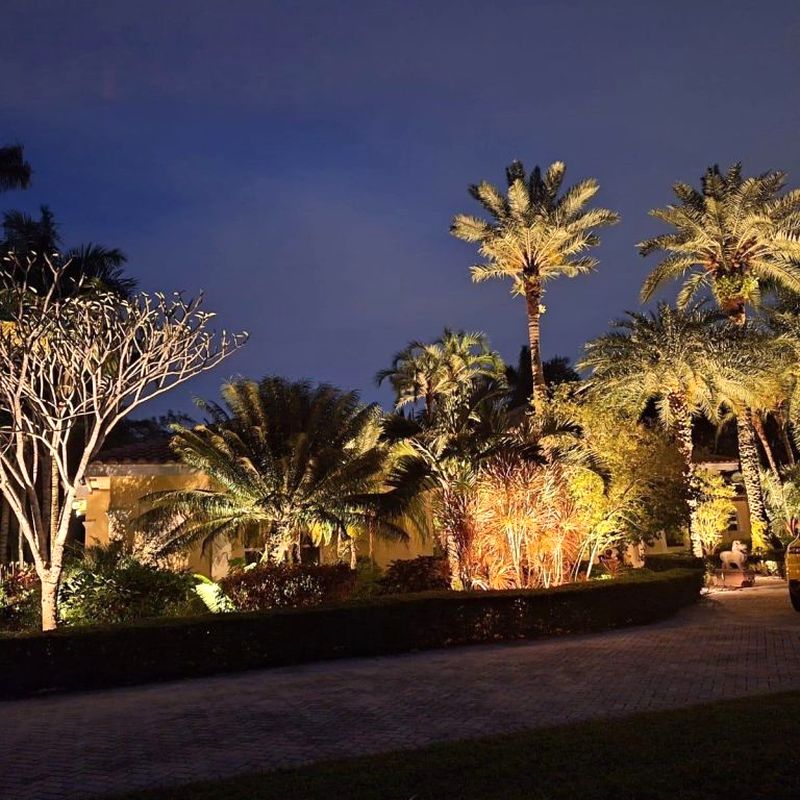 Palm uplighting along a Miami driveway at dusk