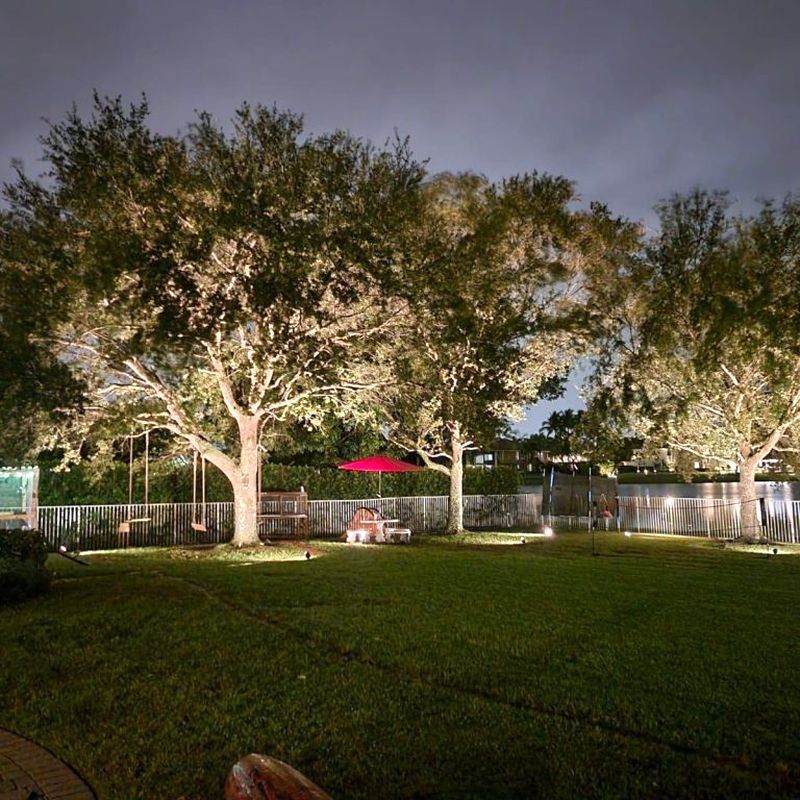 Large tree uplighting in a Miami backyard at night